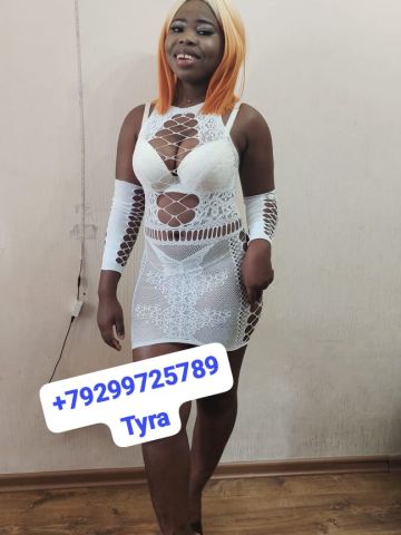 Лан Стиль Реал